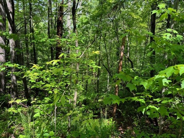 Lot 16 Paradise, Marble, NC 28905