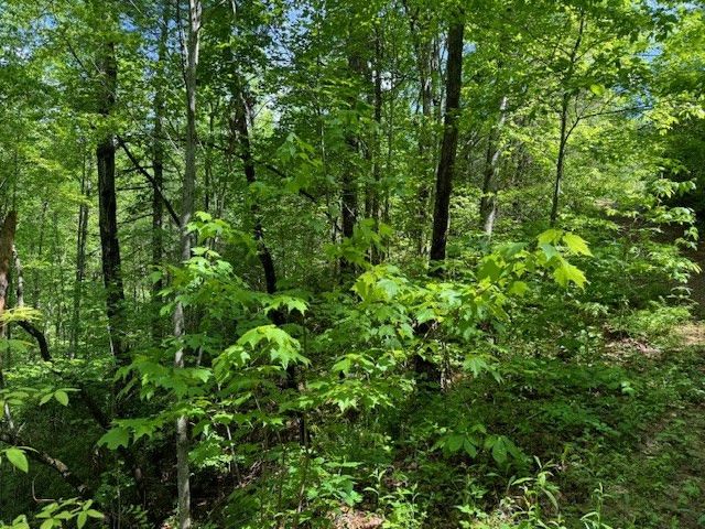 Lot 16 Paradise, Marble, NC 28905