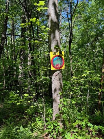 Lot 16 Paradise, Marble, NC 28905