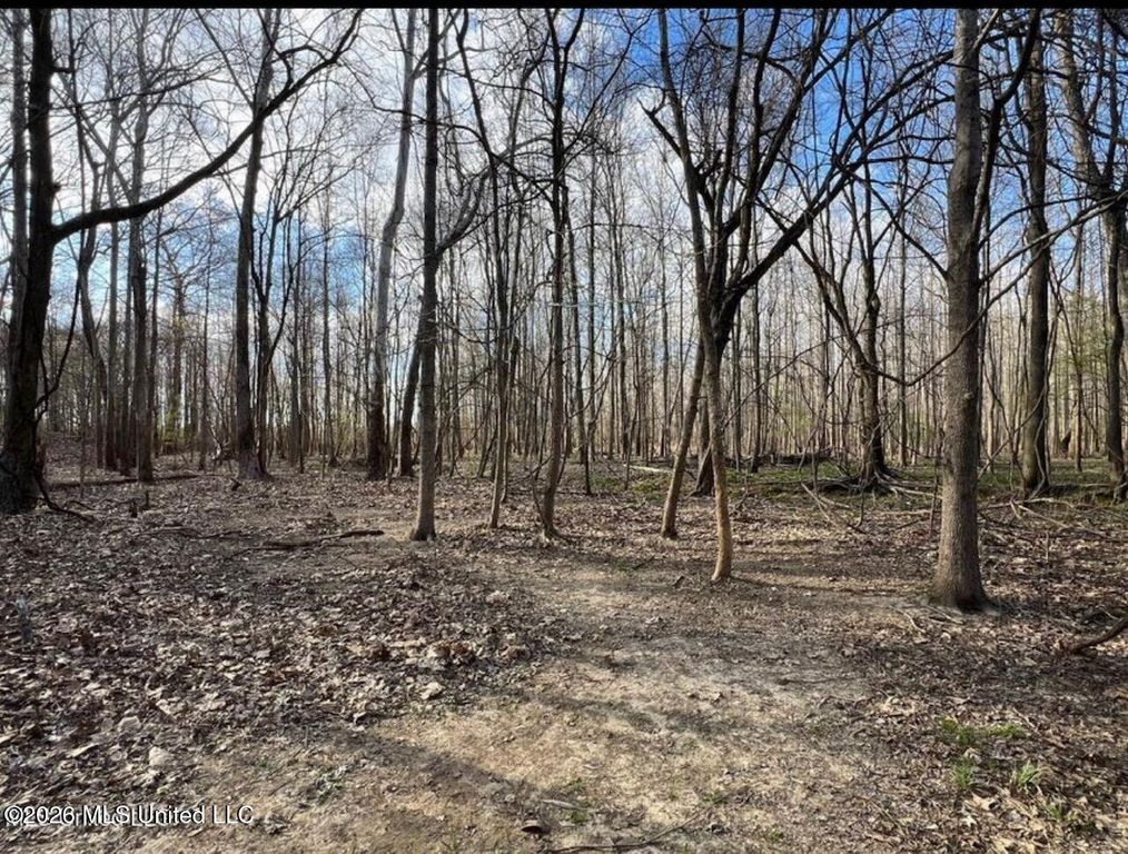 Fogg Road, Hernando, MS 38632 — photo 2