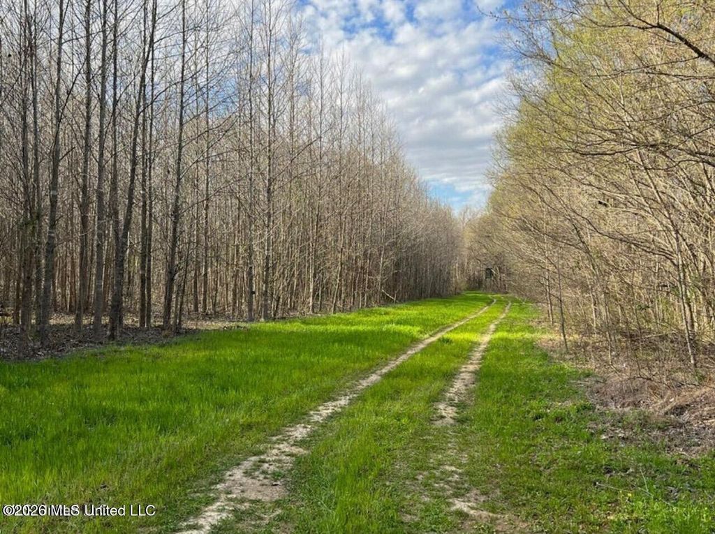 Fogg Road, Hernando, MS 38632 — photo 3