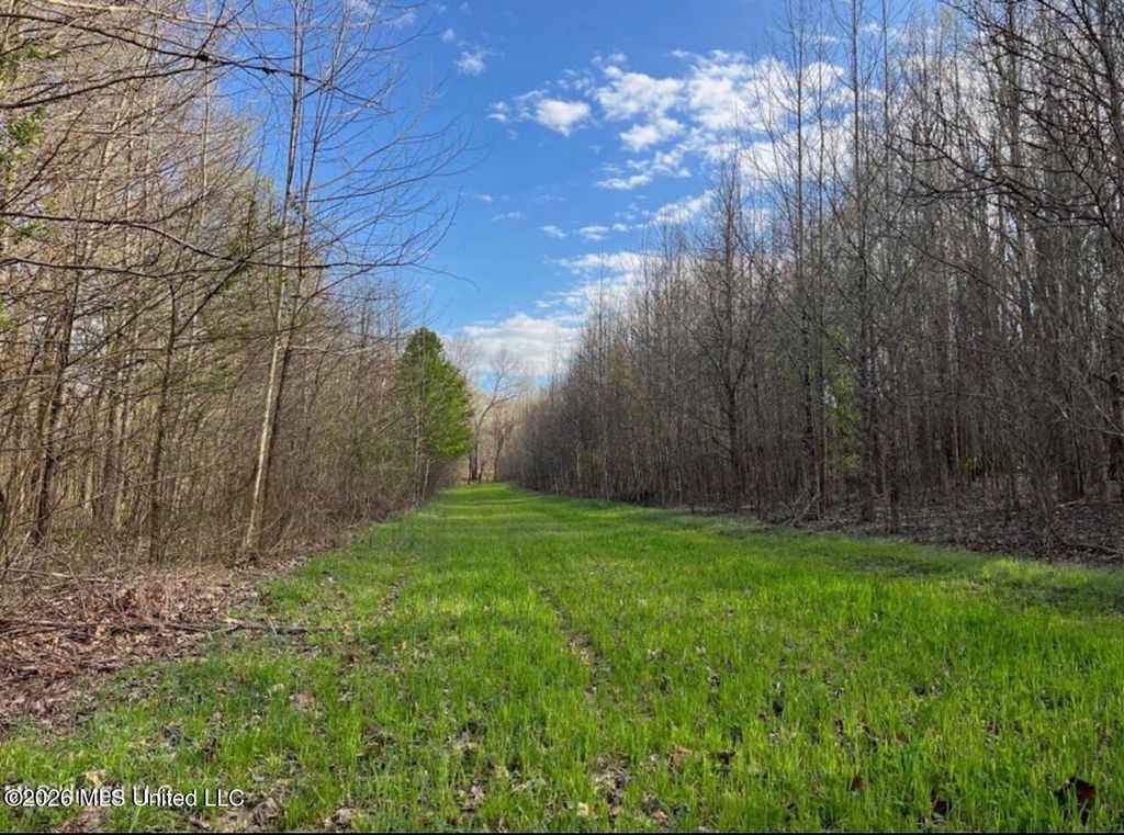 Fogg Road, Hernando, MS 38632 — photo 4