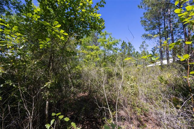 NE 108TH AVENUE, Waldo, FL 32694