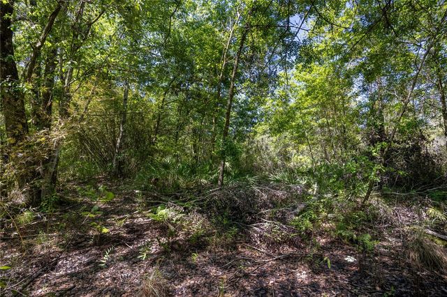 NE 108TH AVENUE, Waldo, FL 32694