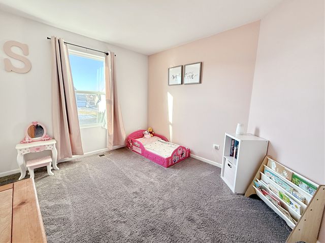 1013 Daniel Street, Plano, IL 60545