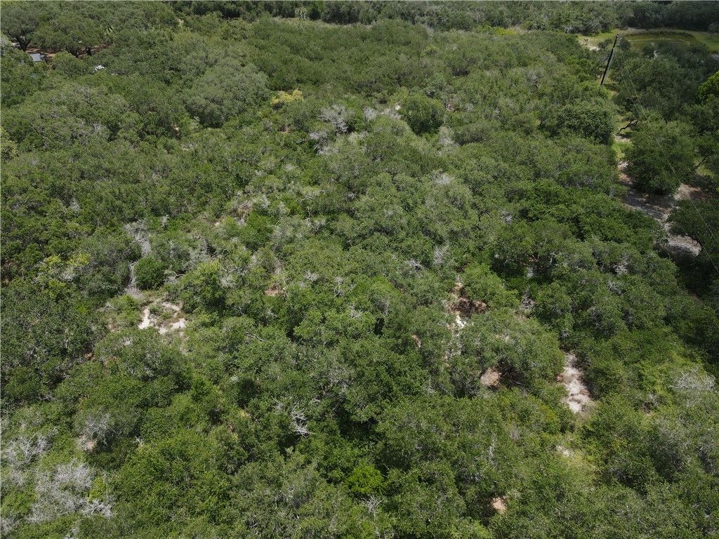 1738 Morgan, Ingleside, TX 78362 — photo 4