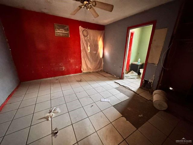 324 San Vicente Drive, Alamo, TX 78516