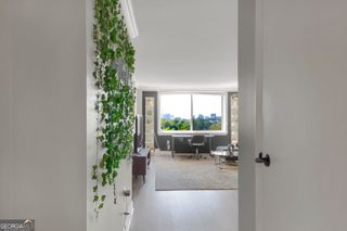 2479 Peachtree Road 505, Atlanta, GA 30305