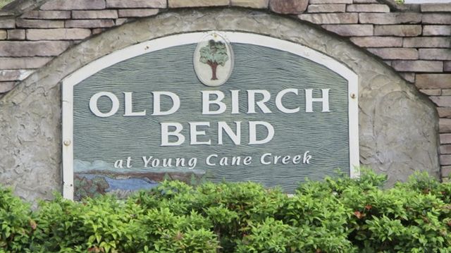 LOT 322 Byers Road, Blairsville, GA 30512