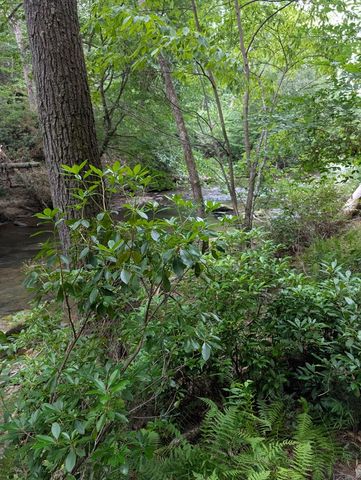 LOT 322 Byers Road, Blairsville, GA 30512