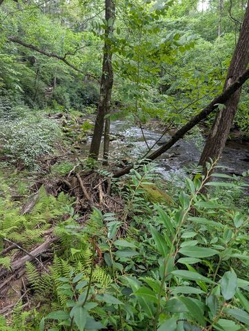 LOT 322 Byers Road, Blairsville, GA 30512