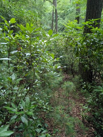 LOT 322 Byers Road, Blairsville, GA 30512