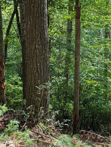 LOT 322 Byers Road, Blairsville, GA 30512