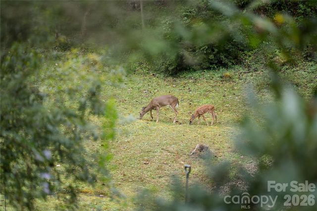 275 Knob Hill Estates Road, Sylva, NC 28779