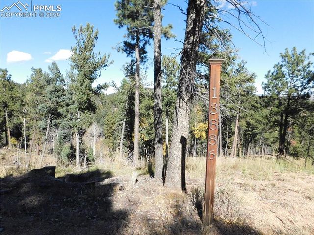 13886 Boulder Lane, Larkspur, CO 80118