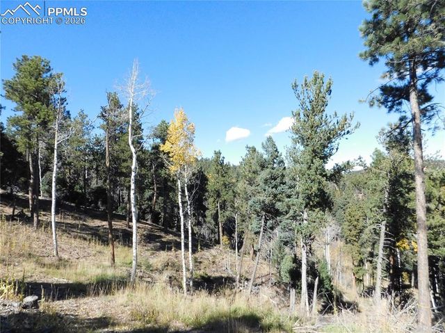 13886 Boulder Lane, Larkspur, CO 80118