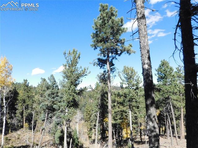 13886 Boulder Lane, Larkspur, CO 80118