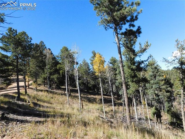 13886 Boulder Lane, Larkspur, CO 80118