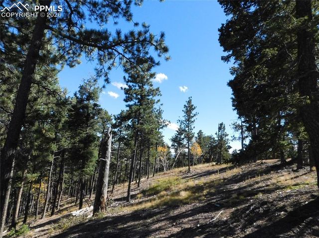 13886 Boulder Lane, Larkspur, CO 80118
