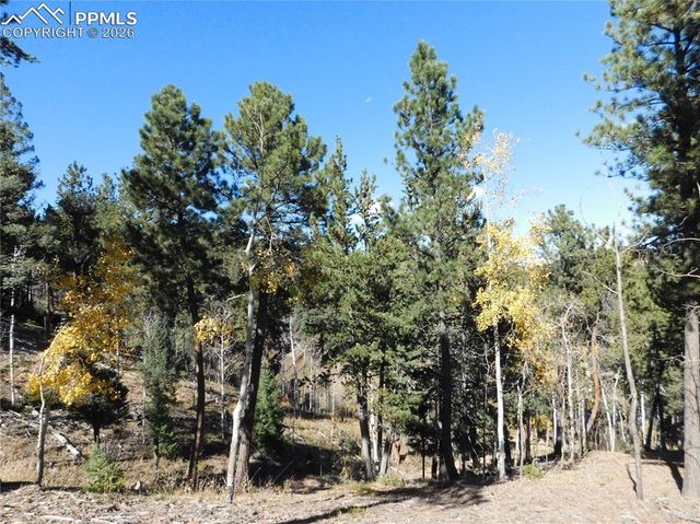 13886 Boulder Lane, Larkspur, CO 80118