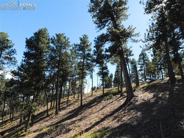 13886 Boulder Lane, Larkspur, CO 80118