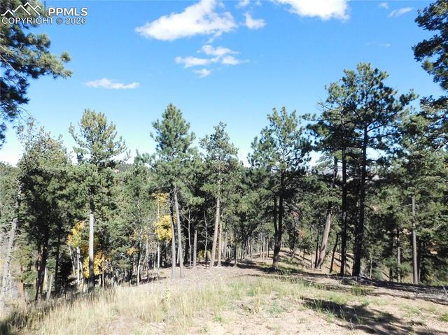 13886 Boulder Lane, Larkspur, CO 80118