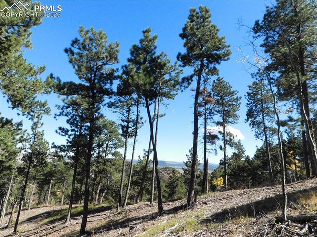 13886 Boulder Lane, Larkspur, CO 80118