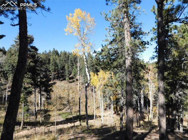 13886 Boulder Lane, Larkspur, CO 80118