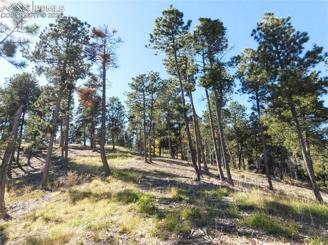 13886 Boulder Lane, Larkspur, CO 80118
