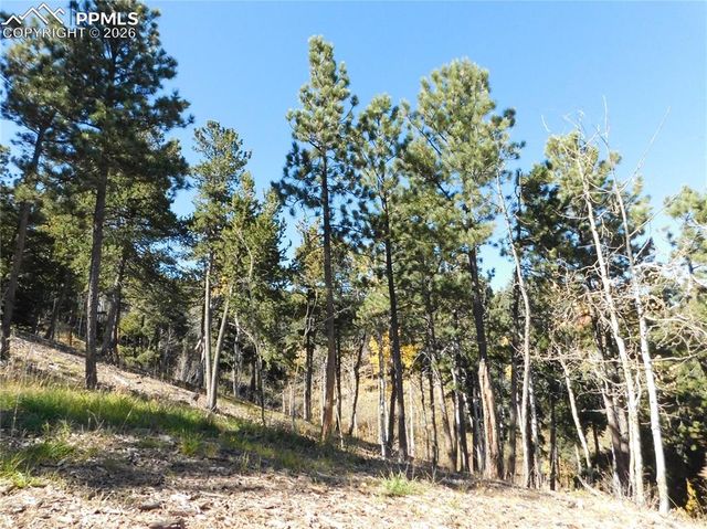 13886 Boulder Lane, Larkspur, CO 80118