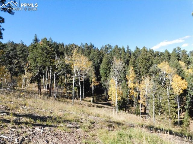 13886 Boulder Lane, Larkspur, CO 80118