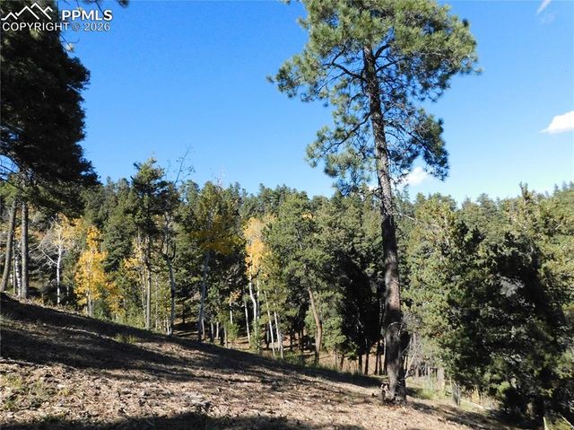 13886 Boulder Lane, Larkspur, CO 80118