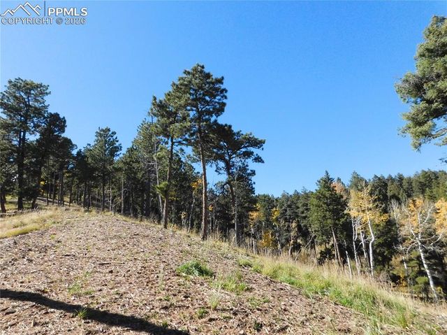 13886 Boulder Lane, Larkspur, CO 80118
