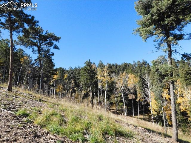 13886 Boulder Lane, Larkspur, CO 80118