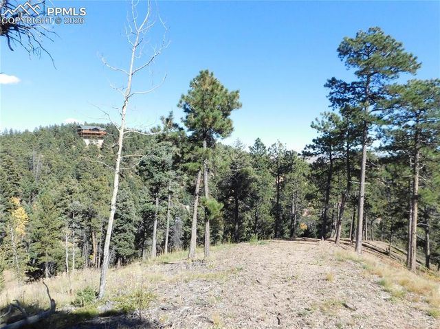 13886 Boulder Lane, Larkspur, CO 80118