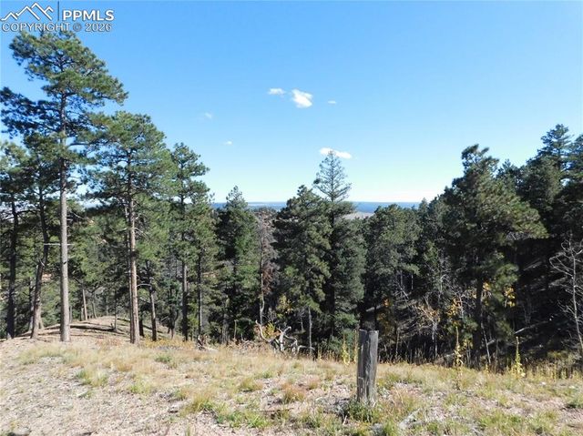13886 Boulder Lane, Larkspur, CO 80118