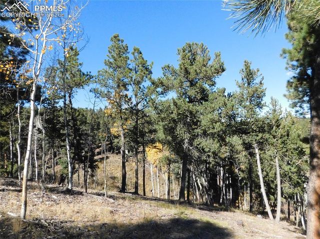 13886 Boulder Lane, Larkspur, CO 80118
