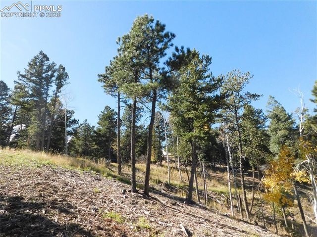 13886 Boulder Lane, Larkspur, CO 80118