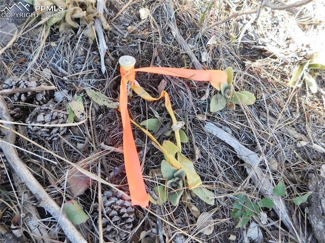 13886 Boulder Lane, Larkspur, CO 80118