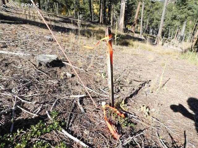 13886 Boulder Lane, Larkspur, CO 80118