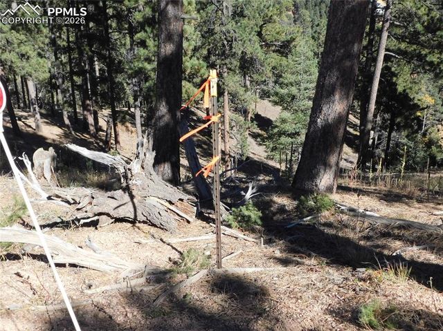 13886 Boulder Lane, Larkspur, CO 80118