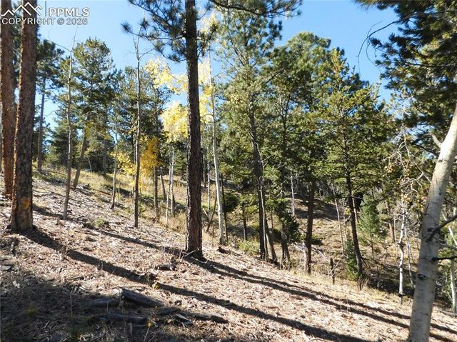 13886 Boulder Lane, Larkspur, CO 80118