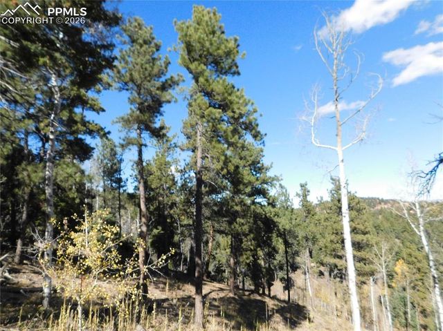 13886 Boulder Lane, Larkspur, CO 80118