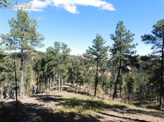13886 Boulder Lane, Larkspur, CO 80118