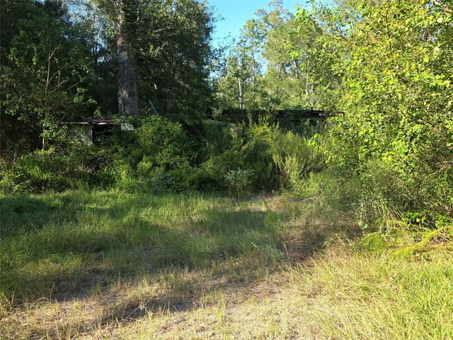 00 Tidwell Lane, Shepherd, TX 77371