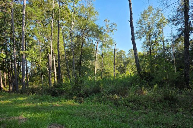 00 Tidwell Lane, Shepherd, TX 77371