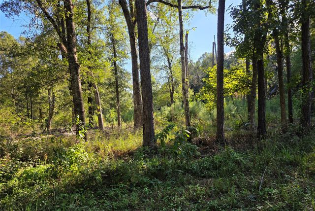 00 Tidwell Lane, Shepherd, TX 77371