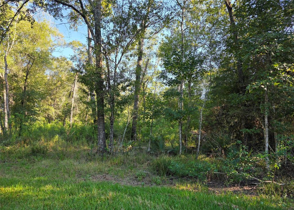 00 Tidwell Lane, Shepherd, TX 77371