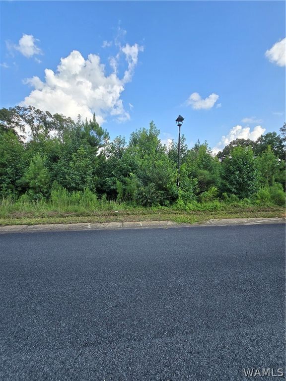 11696 Elam, Northport, AL 35475