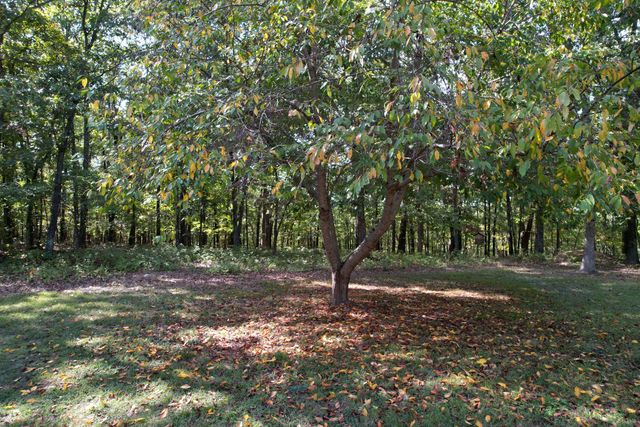 11785 Co Road 76-211, Ava, MO 65608